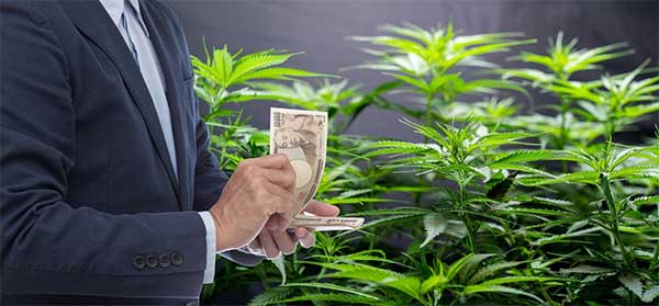Cannabis Tax Canada
